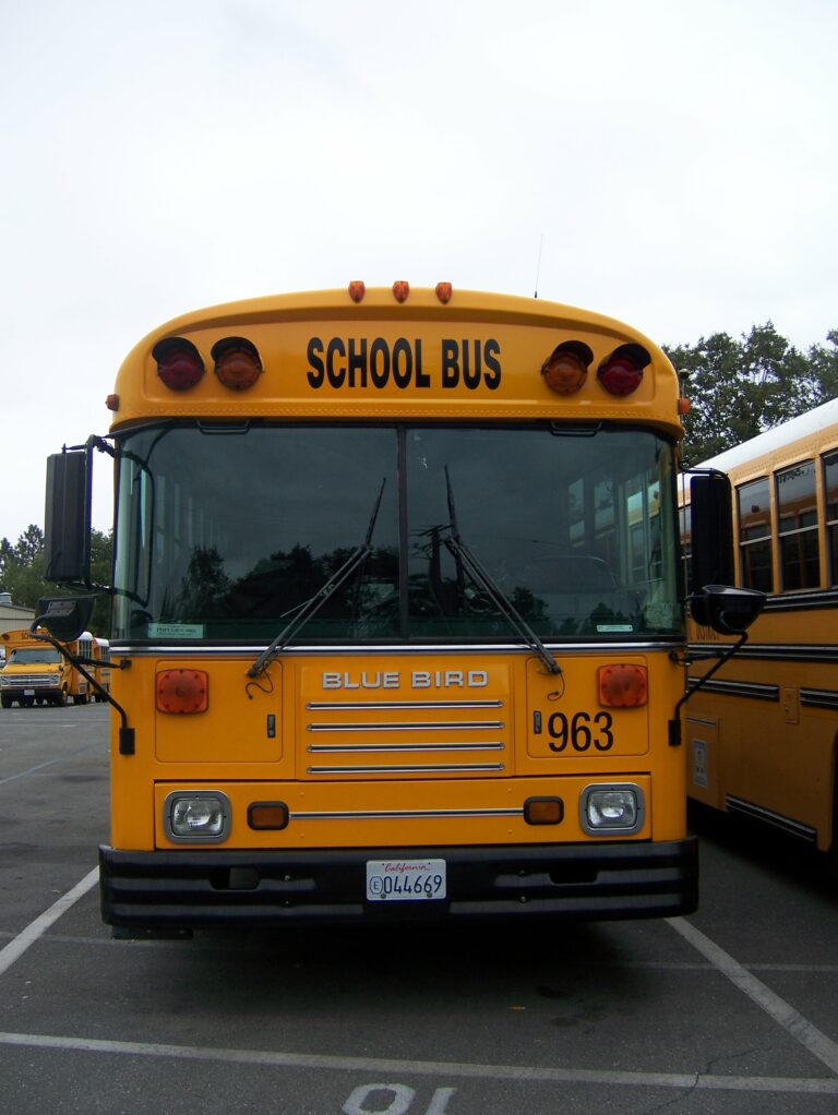 Paradise bus depot c