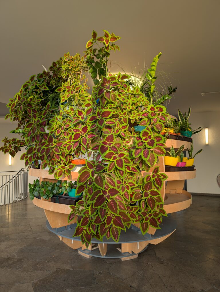 PXL_20260302_161656718